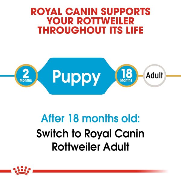 royal canin rottweiler junior pellet dog food variety flavor 3 kg F3