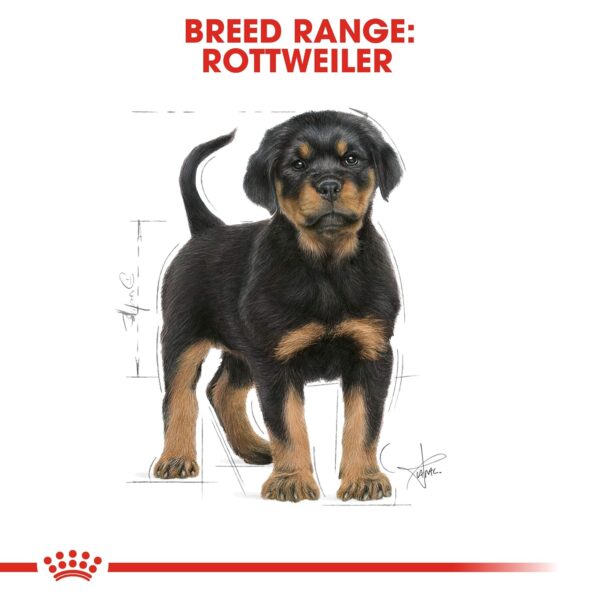 royal canin rottweiler junior pellet dog food variety flavor 3 kg F9