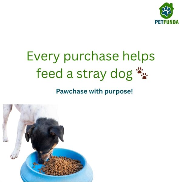 PetFunda Fresh Mint Dental Spray for Dogs & Cats| Enriched with Mint & Clove Extract | Reduces Plaque & Tarter | Paraben-Free, Alcohol Free | Pet Oral Hygiene | 100ml