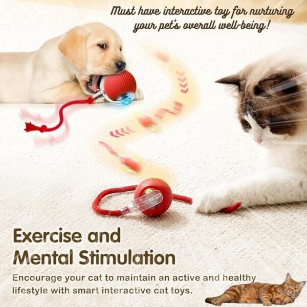 Interactive Electric Automatic Rolling Moving Rechargeable Self Play Stimulation Toy,Smart Pet Chase Ball with Speedy Tail Rope for Bored Indoor Cats enrichment,stimulating Dogs toy (Colour may vary)