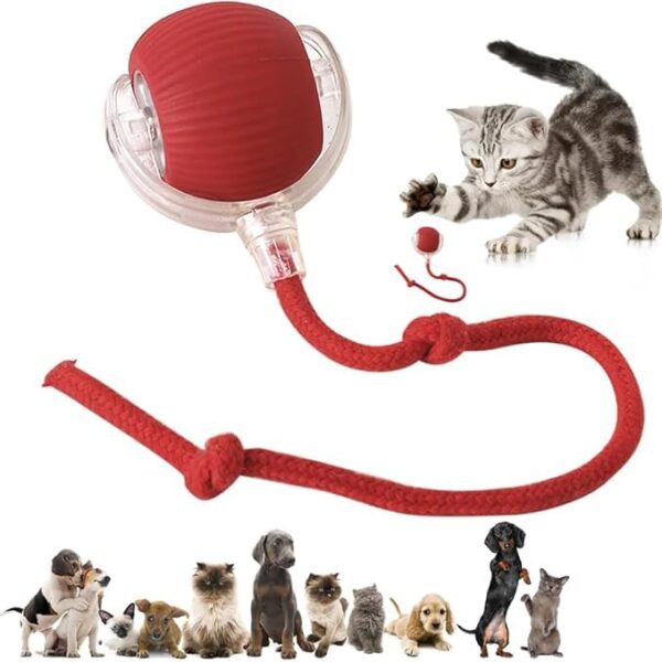 Interactive Electric Automatic Rolling Moving Rechargeable Self Play Stimulation Toy,Smart Pet Chase Ball with Speedy Tail Rope for Bored Indoor Cats enrichment,stimulating Dogs toy (Colour may vary)