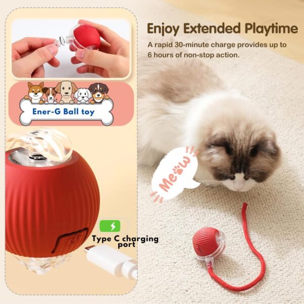 Interactive Electric Automatic Rolling Moving Rechargeable Self Play Stimulation Toy,Smart Pet Chase Ball with Speedy Tail Rope for Bored Indoor Cats enrichment,stimulating Dogs toy (Colour may vary)