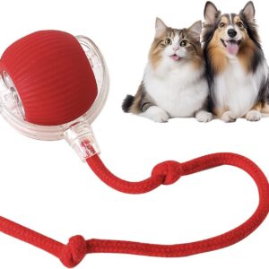 MDM HUB Interactive Cat Ball Toy with Rope Tail, Smart Rolling Ball for Indoor Cats and Dogs (Multicolor)