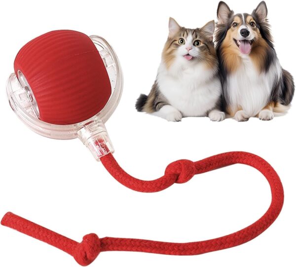 MDM HUB Interactive Cat Ball Toy with Rope Tail, Smart Rolling Ball for Indoor Cats and Dogs (Multicolor)