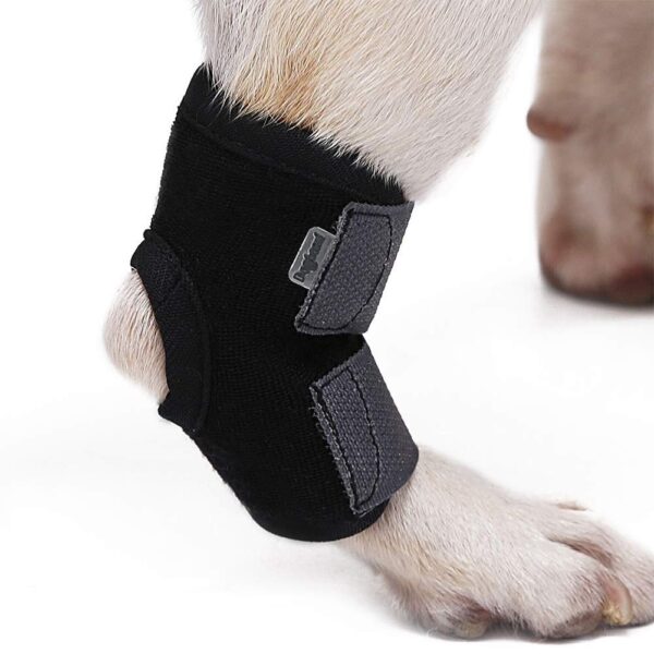 Ubervia Apparel - Store Supportive Rear Stretchy Hock Brace for Short Leg Pet Dog Small