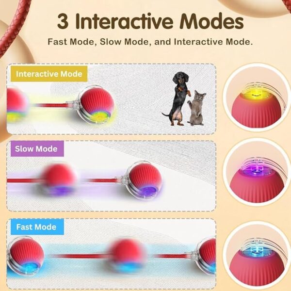 Interactive Electric Automatic Rolling Moving Rechargeable Self Play Stimulation Toy,Smart Pet Chase Ball with Speedy Tail Rope for Bored Indoor Cats enrichment,stimulating Dogs toy (Colour may vary)