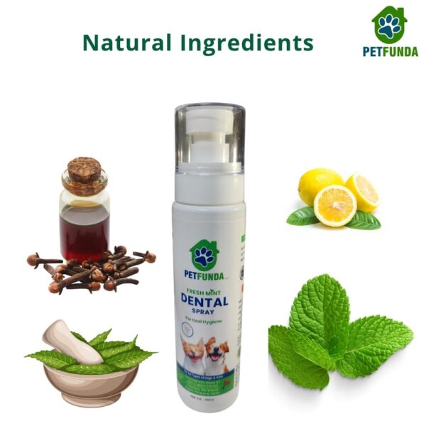 PetFunda Fresh Mint Dental Spray for Dogs & Cats| Enriched with Mint & Clove Extract | Reduces Plaque & Tarter | Paraben-Free, Alcohol Free | Pet Oral Hygiene | 100ml