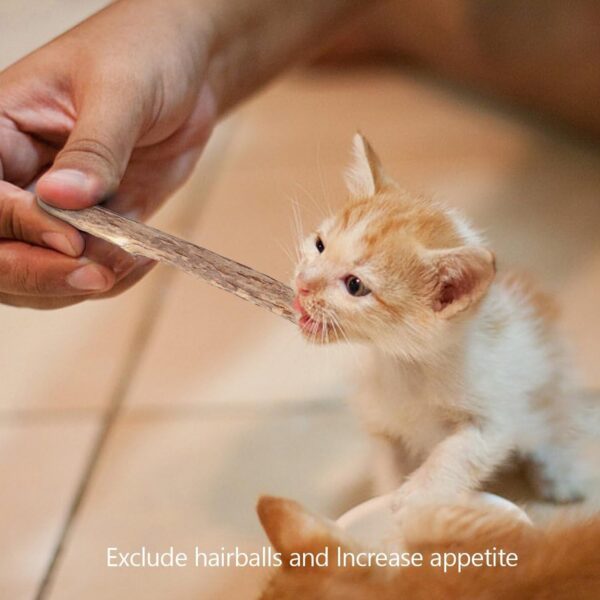 Petbabas 15PCS Natural Silvervine Sticks | Matatabi Catnip Dental Sticks Cat | Indoor Chew Toys | Wooden Engaging Stick for Teeth Cleaning | Edible Kitty Toys | Teeth Molar Tool | Cat Treat Toy