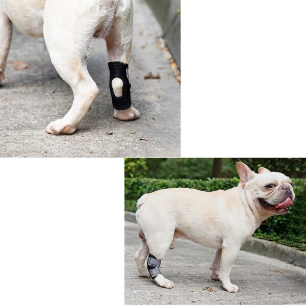 Ubervia Apparel – Store Supportive Rear Stretchy Hock Brace for Short Leg Pet Dog Small