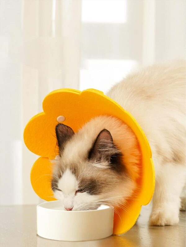 Pets Empire Adjustable Flower Shape Cat Cone Collar – Lightweight Recovery Collar for Small Pets After Surgery: Puppies, Kittens, Dogs, Cats – Soft, Comfortable Design Size – S (Yellow) Pack of 2