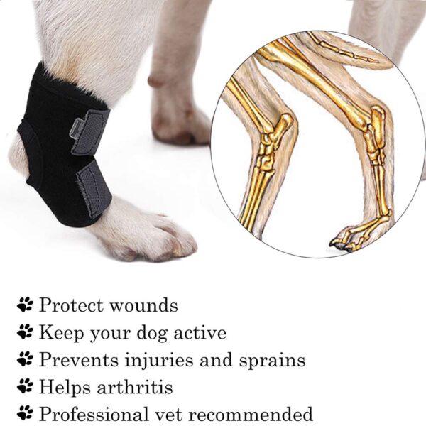 Ubervia Apparel – Store Supportive Rear Stretchy Hock Brace for Short Leg Pet Dog Small