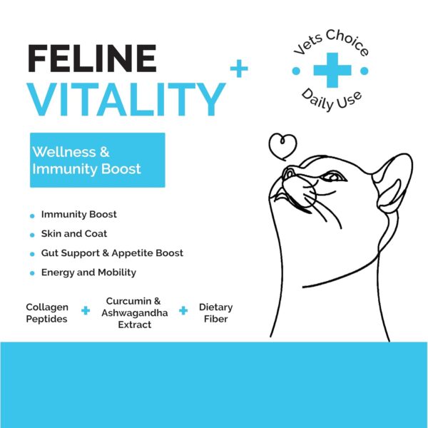 Goofy Tails Feline Vitality+(100Mlx1Pack) Liquid Immunity Booster for Cats, Cat Coat Supplement, Gut Supplement, Boosted with Curcuminoids, Ashwagandha, Prebiotics and Collagen for Cats