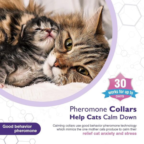 Taily Tails Cat Calming Collar – Pheromone Calming Collar for Cat Anxiety Relief – 60-Day Long-Lasting Waterproof & Adjustable – Stress & Behavior Control