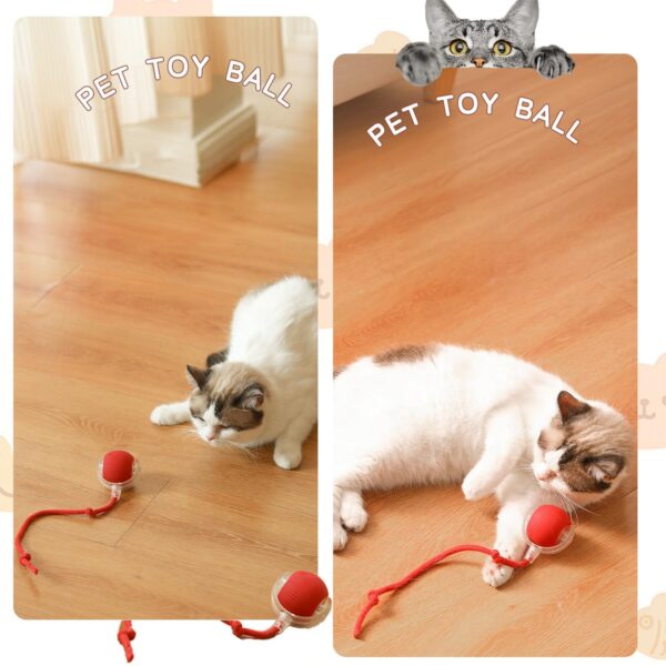 Agirav Tails Cat Toys,Agile Moving Cat Ball with Elastic Mesh Tail,Interactive Cat Toys for Indoor Cats,Motion Activated,Ultra-Fast Kitten Toys