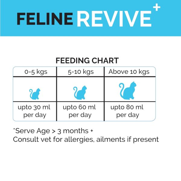 Goofy Tails Feline Revive+ (100Mlx3Pack) Rapid Rehydration Liquid, ORS for Cats, Recovery Diet Cat Supplement, Boosted with Amino Acids, Electrolytes, Prebiotics, Bone Broth and Collagen for Cats