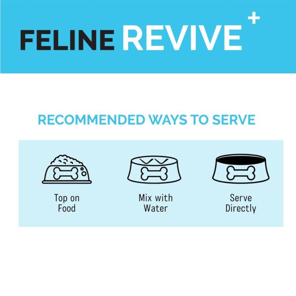Goofy Tails Feline Revive+ (100Mlx3Pack) Rapid Rehydration Liquid, ORS for Cats, Recovery Diet Cat Supplement, Boosted with Amino Acids, Electrolytes, Prebiotics, Bone Broth and Collagen for Cats