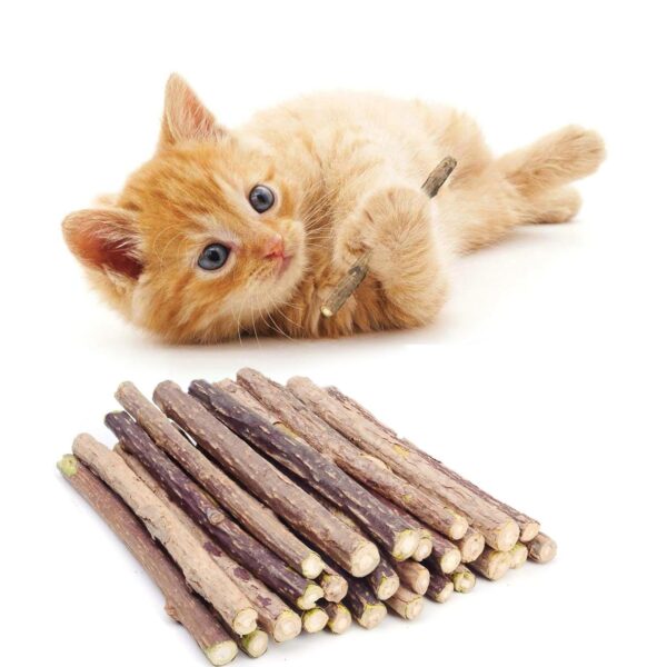 Petbabas 15PCS Natural Silvervine Sticks | Matatabi Catnip Dental Sticks Cat | Indoor Chew Toys | Wooden Engaging Stick for Teeth Cleaning | Edible Kitty Toys | Teeth Molar Tool | Cat Treat Toy