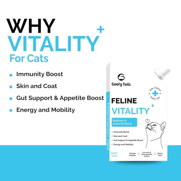 Goofy Tails Feline Vitality+(100Mlx1Pack) Liquid Immunity Booster for Cats, Cat Coat Supplement, Gut Supplement, Boosted with Curcuminoids, Ashwagandha, Prebiotics and Collagen for Cats