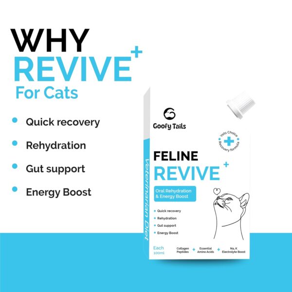 Goofy Tails Feline Revive+ (100Mlx3Pack) Rapid Rehydration Liquid, ORS for Cats, Recovery Diet Cat Supplement, Boosted with Amino Acids, Electrolytes, Prebiotics, Bone Broth and Collagen for Cats