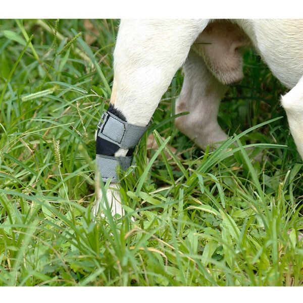 Ubervia Apparel – Store Supportive Rear Stretchy Hock Brace for Short Leg Pet Dog Small
