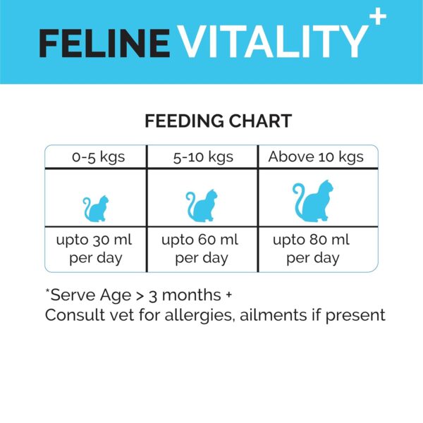 Goofy Tails Feline Vitality+(100Mlx1Pack) Liquid Immunity Booster for Cats, Cat Coat Supplement, Gut Supplement, Boosted with Curcuminoids, Ashwagandha, Prebiotics and Collagen for Cats