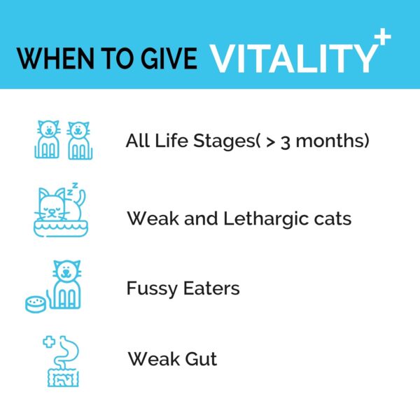 Goofy Tails Feline Vitality+(100Mlx1Pack) Liquid Immunity Booster for Cats, Cat Coat Supplement, Gut Supplement, Boosted with Curcuminoids, Ashwagandha, Prebiotics and Collagen for Cats