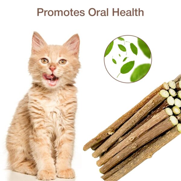 Petbabas 15PCS Natural Silvervine Sticks | Matatabi Catnip Dental Sticks Cat | Indoor Chew Toys | Wooden Engaging Stick for Teeth Cleaning | Edible Kitty Toys | Teeth Molar Tool | Cat Treat Toy