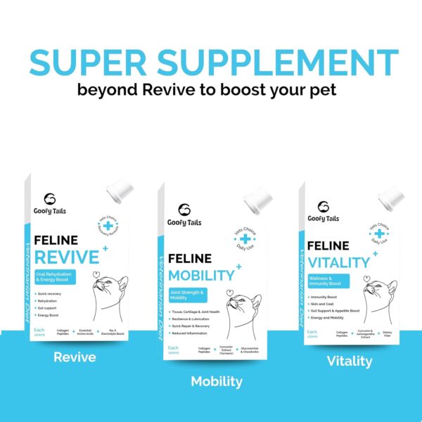 Goofy Tails Feline Revive+ (100Mlx3Pack) Rapid Rehydration Liquid, ORS for Cats, Recovery Diet Cat Supplement, Boosted with Amino Acids, Electrolytes, Prebiotics, Bone Broth and Collagen for Cats