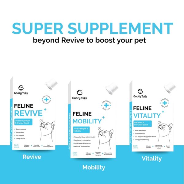Goofy Tails Feline Vitality+(100Mlx1Pack) Liquid Immunity Booster for Cats, Cat Coat Supplement, Gut Supplement, Boosted with Curcuminoids, Ashwagandha, Prebiotics and Collagen for Cats