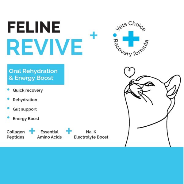 Goofy Tails Feline Revive+ (100Mlx3Pack) Rapid Rehydration Liquid, ORS for Cats, Recovery Diet Cat Supplement, Boosted with Amino Acids, Electrolytes, Prebiotics, Bone Broth and Collagen for Cats