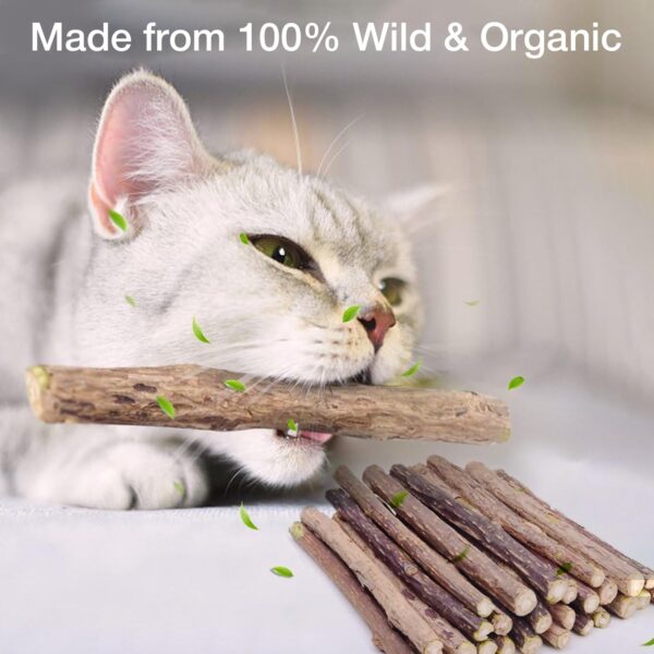 Petbabas 15PCS Natural Silvervine Sticks | Matatabi Catnip Dental Sticks Cat | Indoor Chew Toys | Wooden Engaging Stick for Teeth Cleaning | Edible Kitty Toys | Teeth Molar Tool | Cat Treat Toy