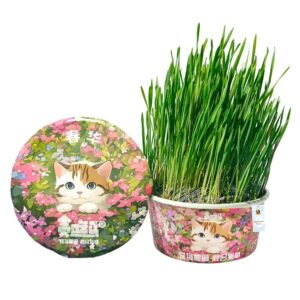 Foodie Puppies Organic Cat Grass - Grow Fresh & Healthy Cat Grass Plants at Home | Chemical-Free for Indoor Cats, Promoting Digestion & Overall Health | Supports Oral Health | Calms & Soothes