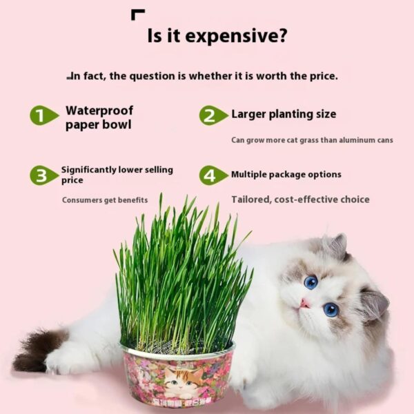Foodie Puppies Organic Cat Grass – Grow Fresh & Healthy Cat Grass Plants at Home | Chemical-Free for Indoor Cats, Promoting Digestion & Overall Health | Supports Oral Health | Calms & Soothes