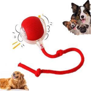 Interactive 360 Smart Pet Toy for Dogs & Cats  Automatic Rolling Device | Rechargeable Motion Sensor Toy | Multicolor Electric Indoor Fun for Puppies and Cats