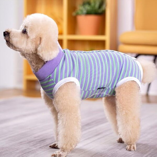 PETANGEL Small Dogs Cat Recovery Suit Post Surgery Striped Shirt for Female and Male Dog, E-Collar Alternative Wound Protective Anti-Licking Clothes for Small Dogs (Size: M, Chest: 41cm)