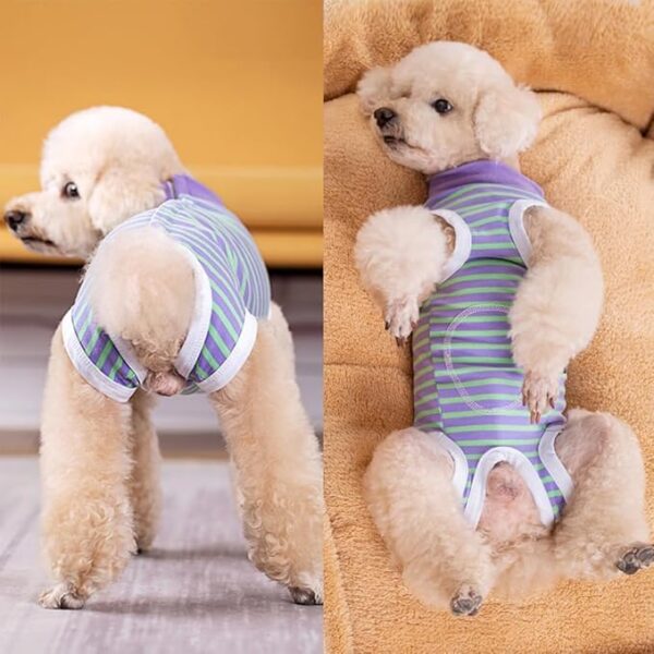 PETANGEL Small Dogs Cat Recovery Suit Post Surgery Striped Shirt for Female and Male Dog, E-Collar Alternative Wound Protective Anti-Licking Clothes for Small Dogs (Size: M, Chest: 41cm)