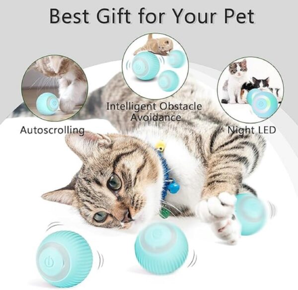 TAMQUSAK Smart LED 360 Cat Toy Ball, Interactive Rechargeable Rotating Ball with LED Automatic Rotating Smart Obstacle Avoiding Chasing (Multicolor)(Pack of 1) (Multi)