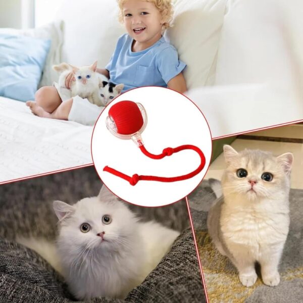 Interactive 360 Smart Pet Toy for Dogs & Cats  Automatic Rolling Device | Rechargeable Motion Sensor Toy | Multicolor Electric Indoor Fun for Puppies and Cats