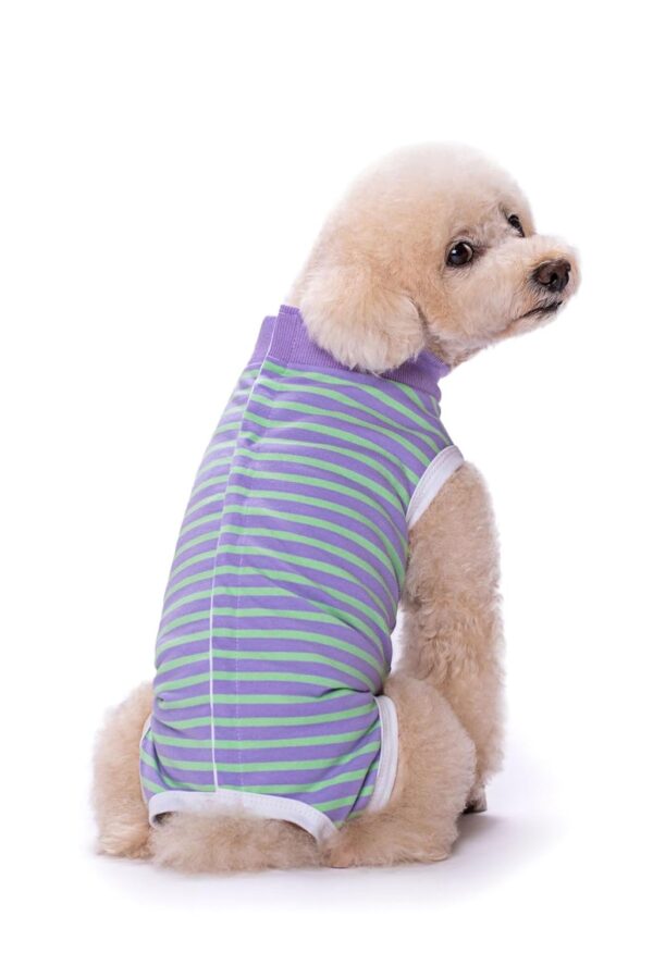 PETANGEL Small Dogs Cat Recovery Suit Post Surgery Striped Shirt for Female and Male Dog, E-Collar Alternative Wound Protective Anti-Licking Clothes for Small Dogs (Size: M, Chest: 41cm)