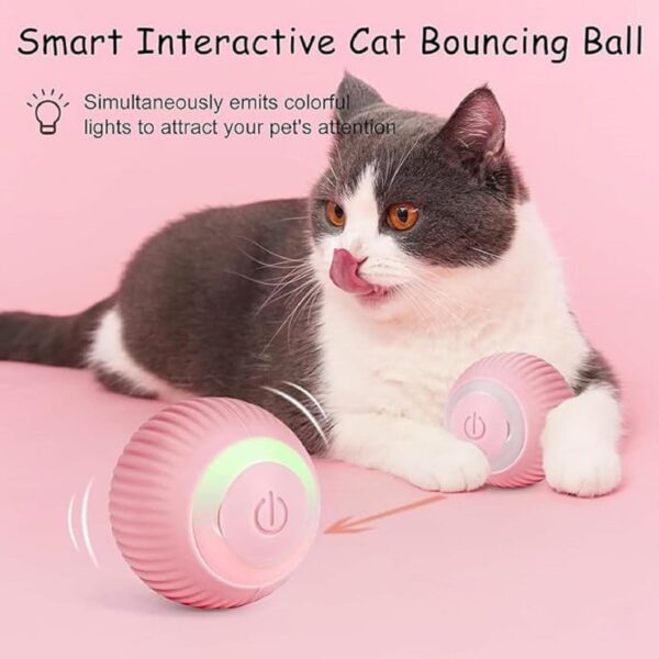 TAMQUSAK Smart LED 360 Cat Toy Ball, Interactive Rechargeable Rotating Ball with LED Automatic Rotating Smart Obstacle Avoiding Chasing (Multicolor)(Pack of 1) (Multi)