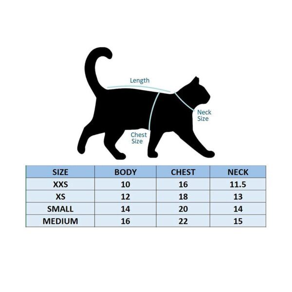 FETCHER Orange and Sky Blue T-Shirt for Dogs and Cats (16″ Medium)