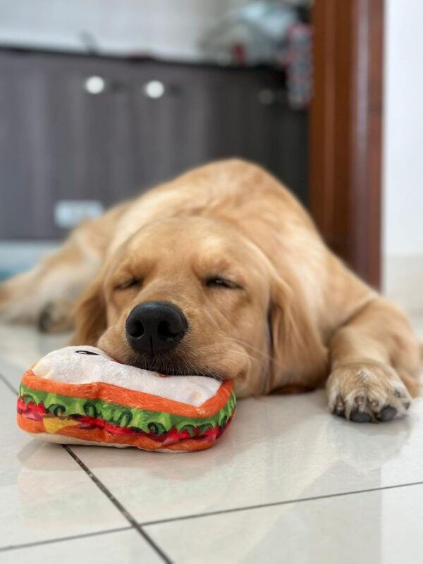 Goofy Tails Food Buddies Sandwich Plush Toy for Dogs and Puppies | Crinkle, Squeaky, Soft Pet Toy