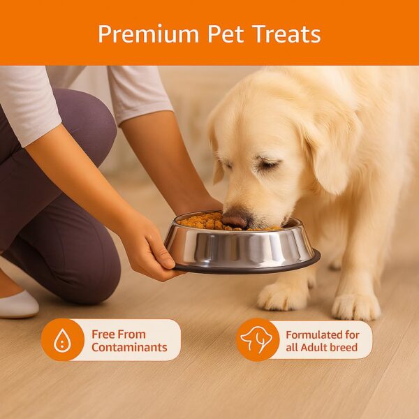 Amazon Basics Dry Dog Food | 1 Kg Trial Pack| Chicken & Rice | with Real Chicken Meat | Kibble for Adult Dogs | Packed with Protein | Suitable for All Breeds