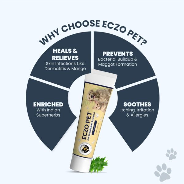 FUR BALL STORY Eczo Pet Ayurvedic Cream for Dogs & Cats 60g | Herbal Ointment with Neem & Bakuchi | Treats Fungal & Bacterial Infections, Itching, Ringworm, Eczema | Vet Recommeded