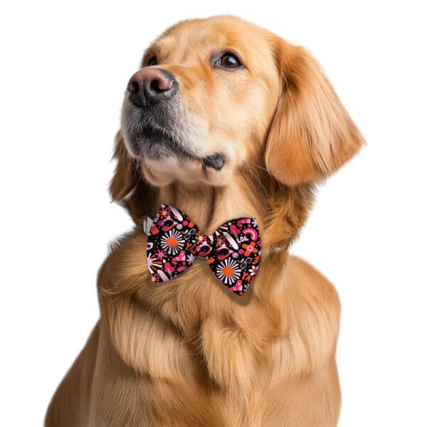 PawsIndia Pattern Bow Tie for Dogs and Cat (Small, Pop Funk)