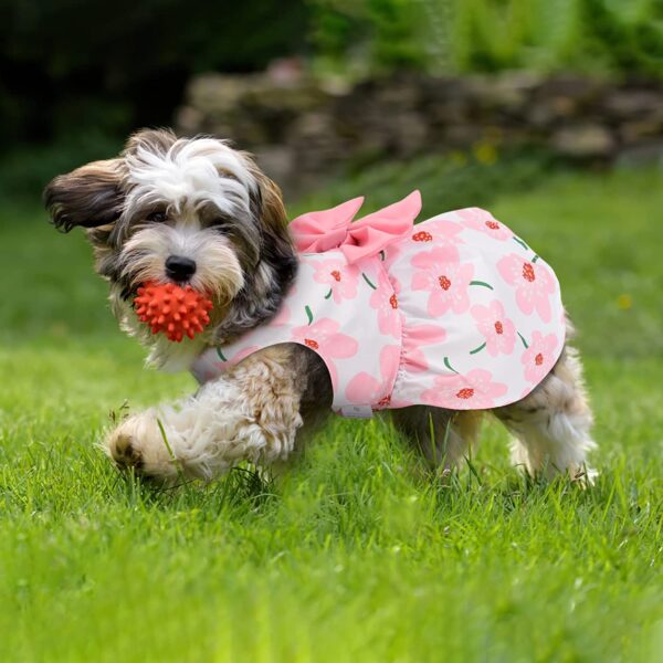 KUTKUT Floral Pattern Dog Dress with Lovely Bow Pet Apparel Dog Clothes for Small Breed Dogs and Cats | Puppy Summer Dress Birthday Pet Apparel Dress (Size:L, Bust:42cm, Length:32cm)