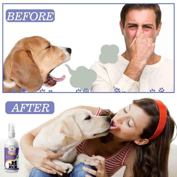 Tail & Collar Club Dental Spray for Dogs & Cats – Fight Against Bad Breath, Plaque, Tartar & Gum Disease Without Brushing (Pack of 1)