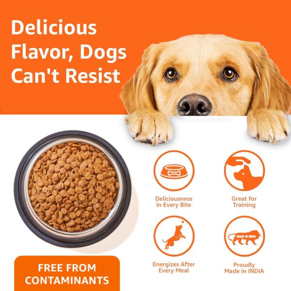 Amazon Basics Dry Dog Food | 1 Kg Trial Pack| Chicken & Rice | with Real Chicken Meat | Kibble for Adult Dogs | Packed with Protein | Suitable for All Breeds