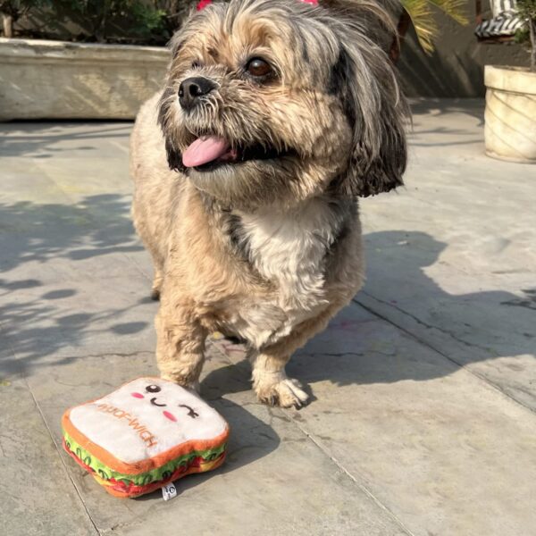 Goofy Tails Food Buddies Sandwich Plush Toy for Dogs and Puppies | Crinkle, Squeaky, Soft Pet Toy