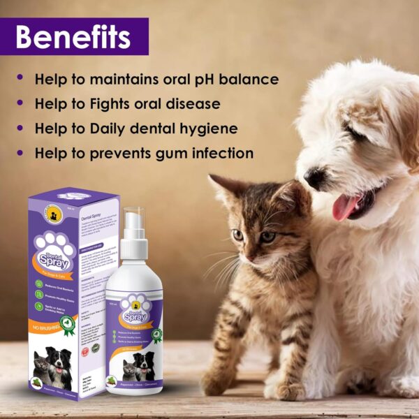 Tail & Collar Club Dental Spray for Dogs & Cats – Fight Against Bad Breath, Plaque, Tartar & Gum Disease Without Brushing (Pack of 1)